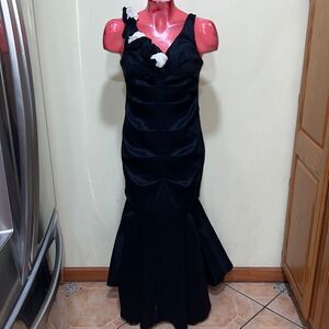 NWT Juno dress